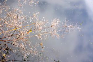 herfst