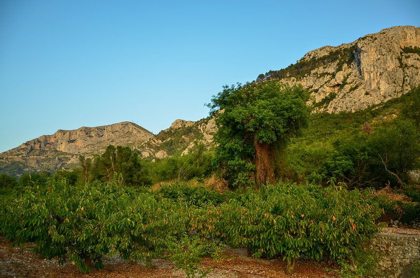 Le paysage montagneux, rocheux mais verdoyant, de la côte méditerranéenne de l'Espagne par LuCreator