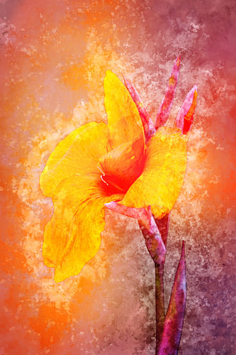 Close-up of a Canna indica (artwork) by Art by Jeronimo