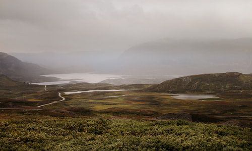 Mist op de Torpegardsvegen