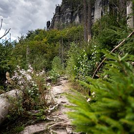 Koningspad, Saksisch Zwitserland - Frienstein van Pixelwerk