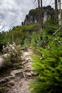 Chemin royal, Suisse saxonne - Frienstein