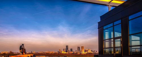 Panorama van Rotterdam RawBird Photo's Wouter Putter
