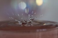 SPLASH 6