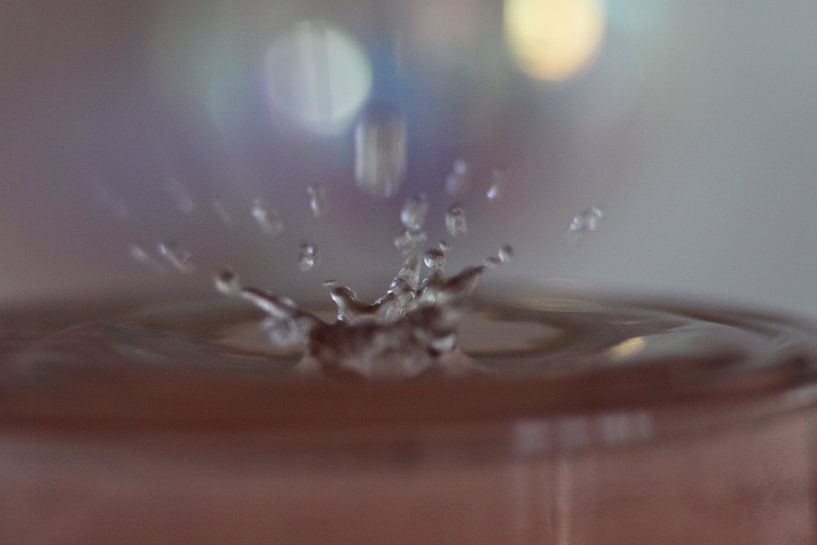 SPLASH 6 van Jeroen de Vries