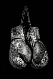 Abgekämpfte Boxhandschuhe von Poster Art Shop