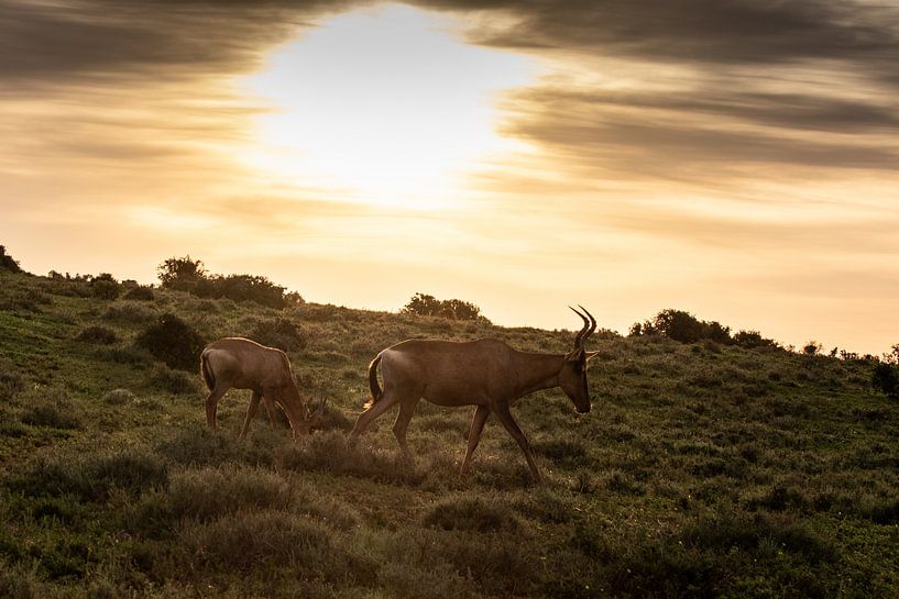 Zonsondergang van Photo By Nelis