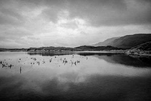 Ruhe am See von Michael Karl Knop