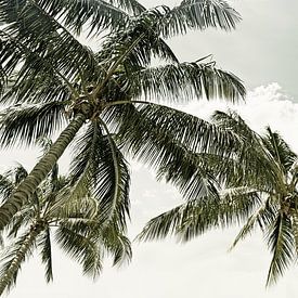 Vintage Palmenidylle von Melanie Viola