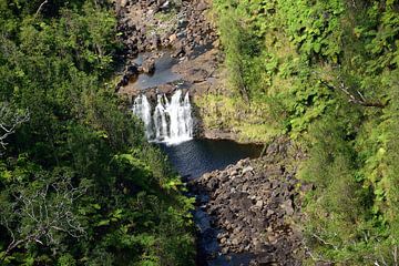 Moeilijk bereikbare waterval in de Kapehu stroom van Frank's Awesome Travels