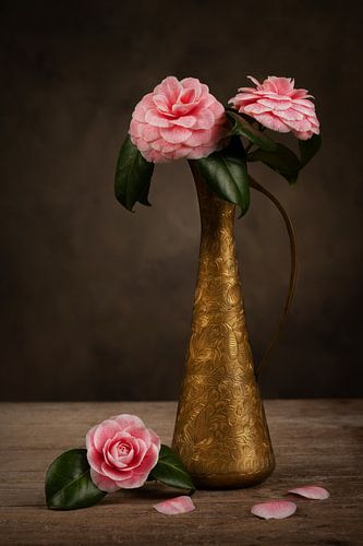 Rose Gold by Alexander Tromp