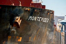 Massengutfrachter Montevideo im Hafen an einem sonnigen Morgen. von scheepskijkerhavenfotografie