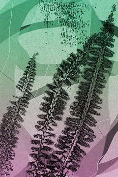 Three brown ferns.  Modern abstract botanical geometric art in pink and green by Dina Dankers