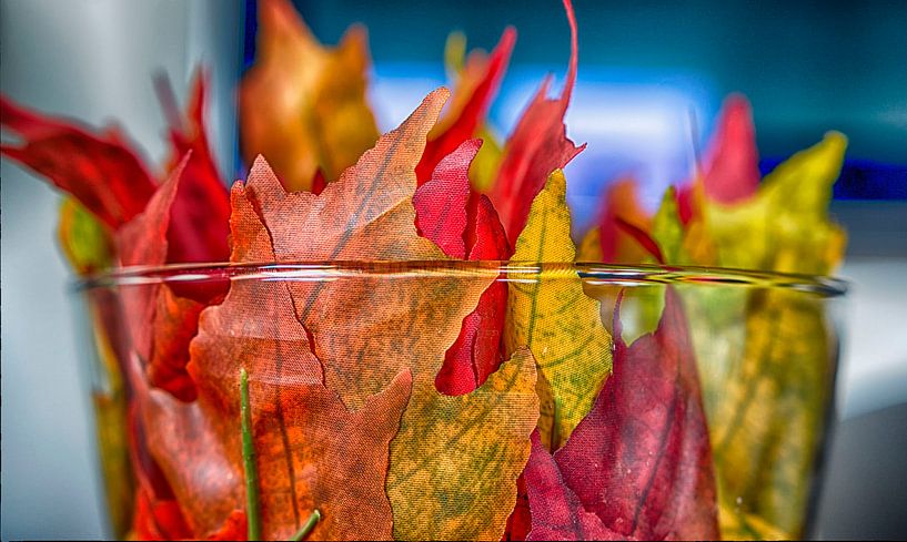 Herfst by Peter Bartelings