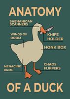 Anatomie einer Ente