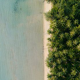 Zomers tropisch strand van boven - Palmbomen en blauwe zee van Marit Hilarius