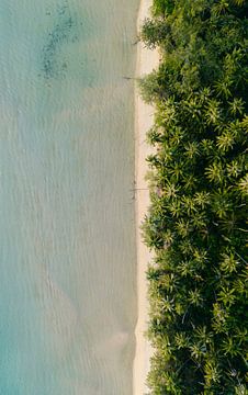 Zomers tropisch strand van boven - Palmbomen en blauwe zee van Marit Hilarius