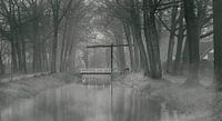 Ophaalbrug in Griendtsveen van Ron Frenken thumbnail