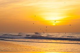 sunset2 by Arjan van Duijvenboden