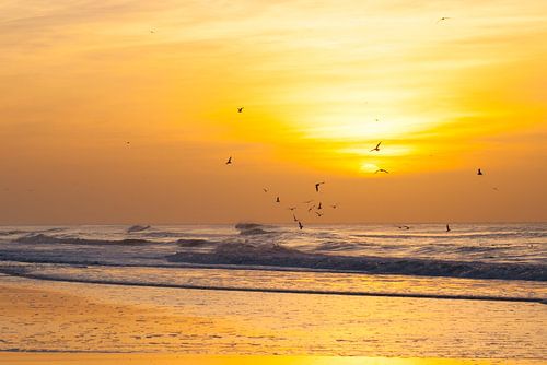 coucher du soleil2