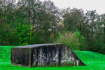 Fort bij Vechten -  Bunker voor bos van Wout van den Berg