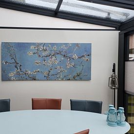 Kundenfoto: Mandelblüte ALMOND BLOSSOM zartes blau, morgentau - Vincent van Gogh, auf alu-dibond