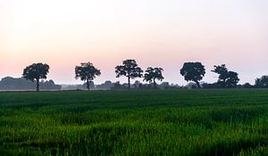 Cerisy-la-Forêt