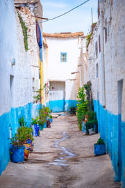 Tiout Oasis, Morocco by Ron van der Stappen