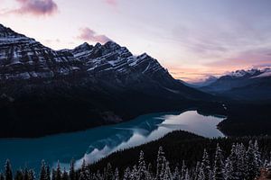 Lac Peyto