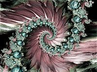 Flower garden spirals 1