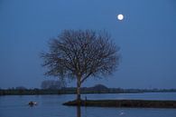 Moon over river Lek by Moetwil en van Dijk - Fotografie thumbnail