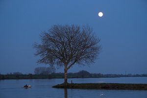 Maan boven rivier de Lek van Moetwil en van Dijk - Fotografie