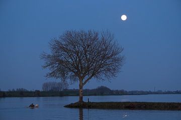 Mond über dem Fluss Lek von Moetwil en van Dijk - Fotografie