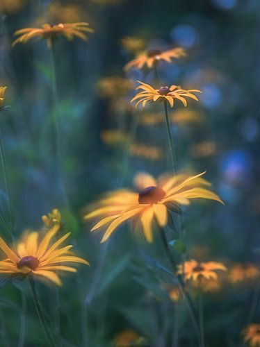 bloemen part 336