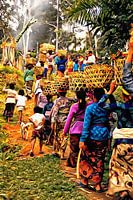 Begrafenisfeest processie Bali