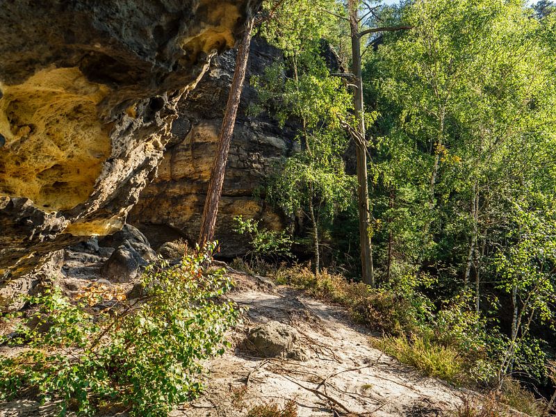 Pechofenstein, Sächsische Schweiz - Felsterrasse und Felswand von Pixelwerk
