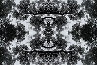 organic rorschach