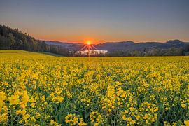 Zonsopgang boven de Hennesee van Robin Feldmann