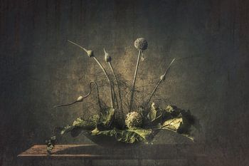 Stilleven groentetuin