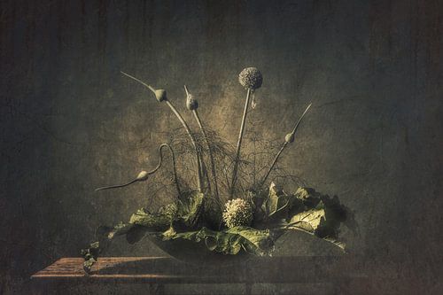 Stilleben Gemüsegarten von Monique van Velzen