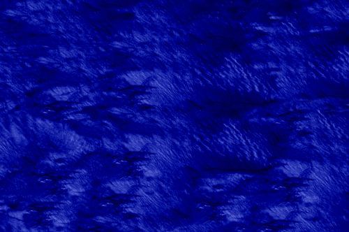 BLEU 5