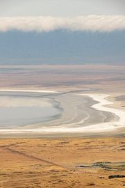 Abstract plain of Ngorongoro Africa by Diane Bonnes