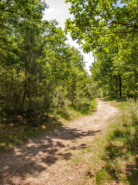 Zandpad by Rinke Velds