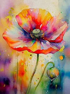 Großer Mohn mit Knospe