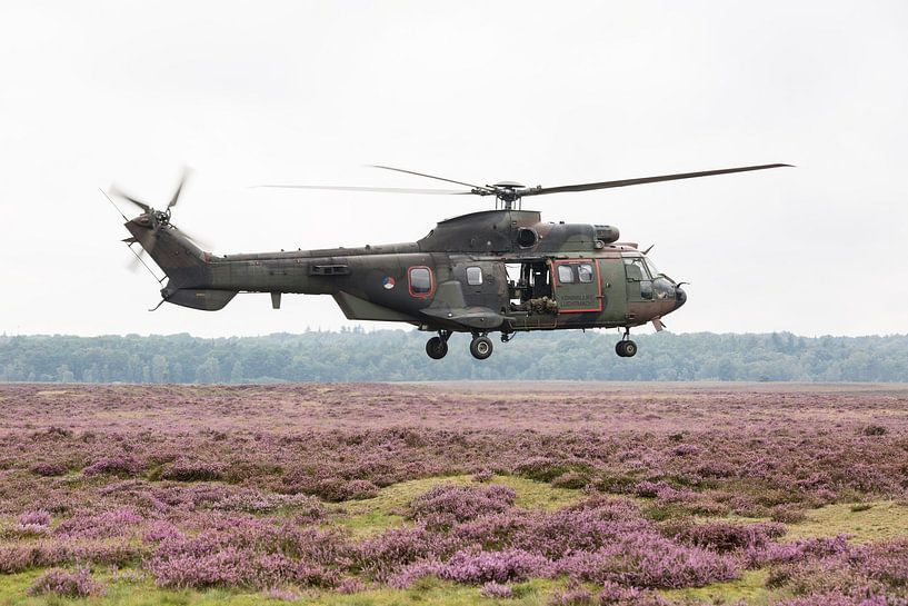 Cougar transport helicopter by André Dorst