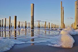 PALENDORP PETTEN AAN ZEE , MET SLUITERTIJDEN SPELEN van MIRIAM - PHOTO.NL