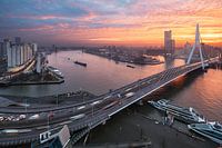 Erasmusbrug