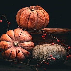 Kürbisse & Beeren im Dunkel von Sabine Schemken