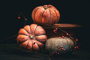 Pumpkins & berries in the dark by Sabine Schemken