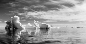 La chaussure de glace